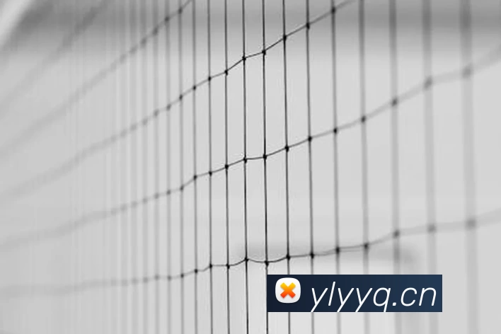 必威(betway·西汉姆联)官方网站 - West Ham UnitedAPP 封面图